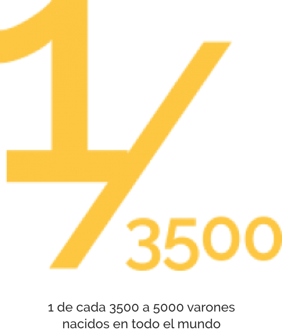 Understanding Duchenne Muscular Dystrophy (DMD)